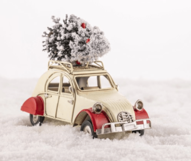 Major reasons you’ll need a Christmas tree this holiday