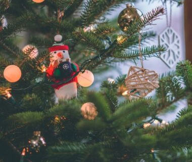 Fun facts about Christmas trees that will surprise you