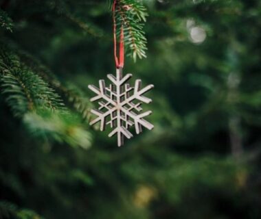Staring Your Own Traditions With Prelit Christmas Trees