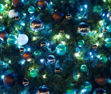 The King of Christmas Trees and Lore of Seasonal Traditions